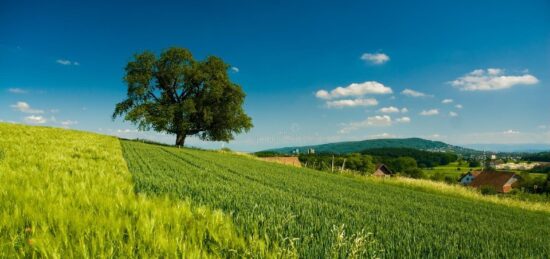 Terrain à bâtir à Beaumont-la-Ronce, Centre-Val de Loire