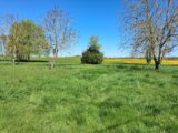 Terrain à bâtir à Tauxigny (37310) 2682718-3427annonce12026062975Ocz.jpeg Constructions Idéale Demeure